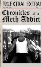 Chronicles of a Meth Addict