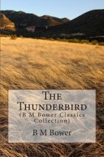 The Thunderbird: (B M Bower Classics Collection)