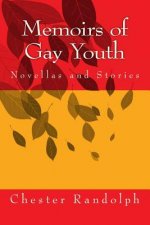 Memoirs of Gay Youth: Novellas and Stories