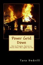 Power Grid Down: Prepare, Survive, and Thrive After The Lights Go Out