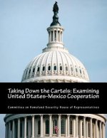 Taking Down the Cartels: Examining United States-Mexico Cooperation
