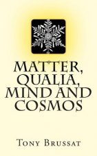 Matter, Qualia, Mind and Cosmos