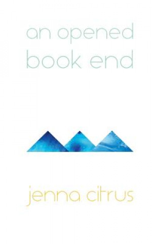 An Opened Book End