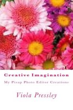 Creative Imagination: My Pizap Photo Editor Creations