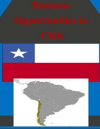 Business Opportunities in Chile