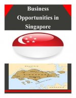 Business Opportunities in Singapore