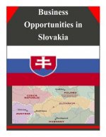 Business Opportunities in Slovakia