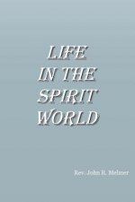 life in the spirit world