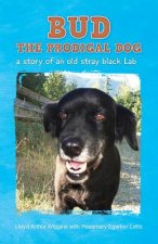 Bud The Prodigal Dog: a story of an old stray black Lab
