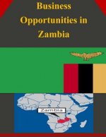 Business Opportunities in Zambia
