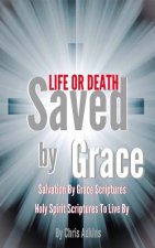 Life Or Death: Salvation By Grace Scriptures And Holy Spirit Scriptures To Live By