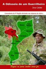 Odisseia de um Guerrilheiro: Moçambique