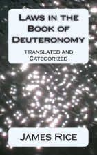 Laws in the Book of Deuteronomy: Translated and Categorized
