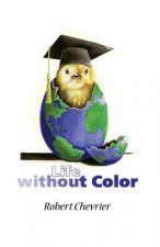 Life Without Color