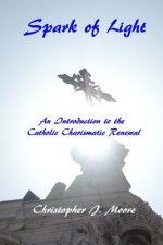 Spark of Light: An Introduction to the Catholic Charismatic Renewal