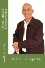 Delincuencia Y Latinoamerica