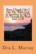 Peace I Speak 2 The 3 Part Me, While God Is Speaking 2 All Of Us, Through His Word, John 12: 30