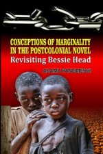 Conceptions of Marginality in the Postcolonial Novel: Revisiting Bessie Head