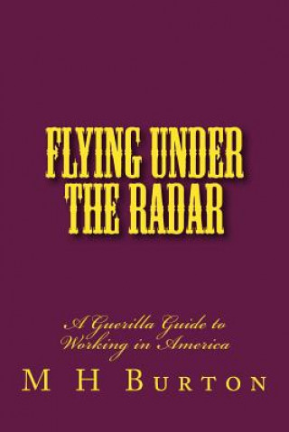 Flying Under the RADAR: A Guerilla Guide to Working in America