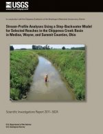 Stream-Porfile Analyses Using a Step-Backwater Model for Selected Reaches in the Chippewa Creek Basin in Medina, Wayne and Summit Counties, Ohio