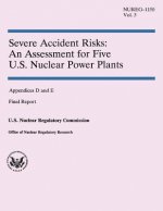 Severe Accident Risks: An Assessment for Five U.S. Nuclear Power Plants