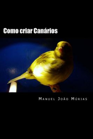 Como criar Canários