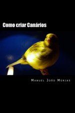 Como criar Canários