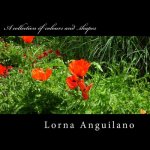 A collection of colours and shapes: Flowers from around the world