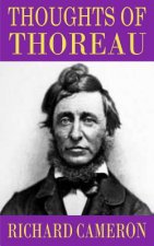 Thoughts of Thoreau