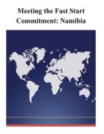 Meeting the Fast Start Commitment: Namibia