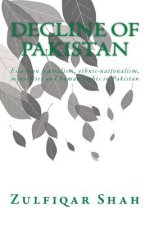 Decline of Pakistan: Essays on federalism, ethnic-nationalism, minorities and human rights in Pakistan