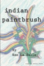indian paintbrush