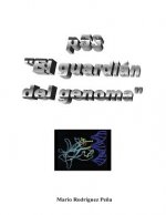 P53: 