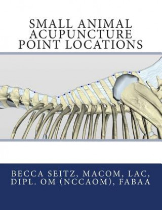 Small Animal Acupuncture Point Locations