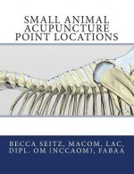 Small Animal Acupuncture Point Locations