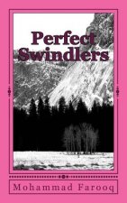 Perfect Swindlers: Embezzlement