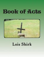 Book of Acts: The Story of the Early Years of the Church
