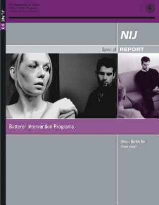 June 2003: Batterer Intervention Programs: Where Do We Go From Here?