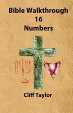 Bible Walkthrough - 16 - Numbers