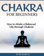Chakras for Beginners: How to Attain a Balanced Life Through Chakras