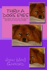 Thru A Dogs Eyes: Follow Jayden thru her life and afterlife adventures as her owners struggle with the loss of their best friend/pet