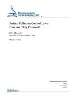 Federal Pollution Control Laws: How Are They Enforced?