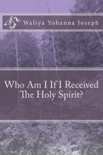 Who Am I If I Received The Holy Spirit?