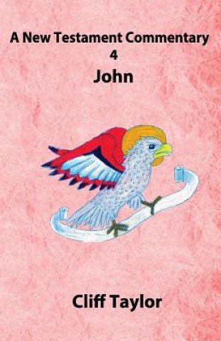 New Testament Commentary - 4 - John