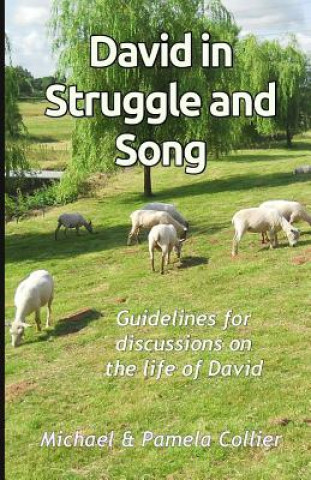 David in Struggle and Song: Guidelines for discussions on the life of David (black & white version)