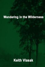 Wandering in the Wilderness: (Kinky, Quirky, and Desperation Stories)