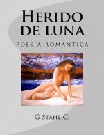 Herido de luna: Poesía romántica