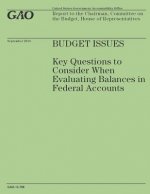Budget Issues: Key Questions to Consider When Evaluating Balances in Federal Accounts