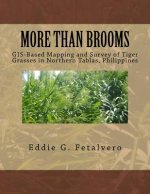 More than Brooms: : GIS-Based Mapping and Survey of Tiger Grasses in Northern Tablas, Philippines