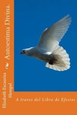 Autoestima Divina.: A traves del Libro de Efesios